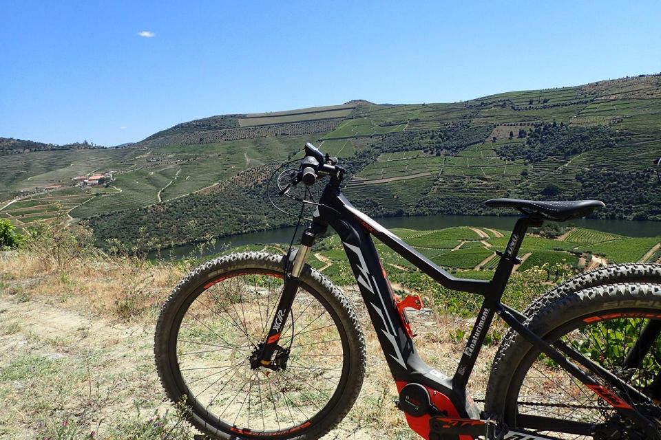 E-MTB - Vineyards Douro Tour - Exploring the Douro Vineyards