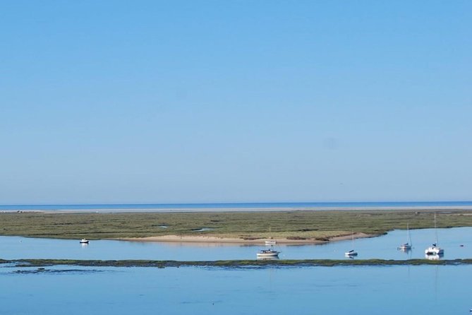 Eco Boat Tour in the Ria Formosa Lagoon From Faro - Minimum and Maximum Participants