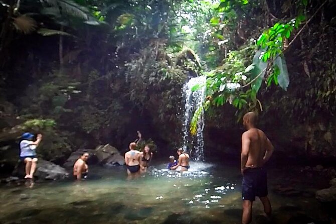 El Yunque Hike, Waterslide, Beach & Cuisine With Transport - Tour Guide Expertise and Feedback