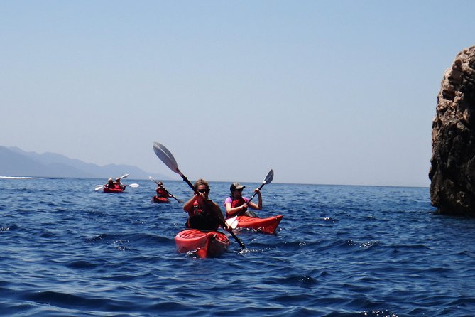 Elaphite Islands Full-Day Kayak and Bike Tour From Dubrovnik - Scenic Ferry Ride Back