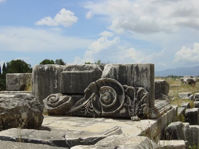 Ephesus, Priene, Miletus and Didyma Tour - Temple of Apollo in Didyma