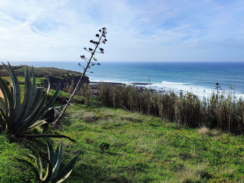 Ericeira Private Tour: 10 Tastings Food Tour - Surfings Impact on Ericeira