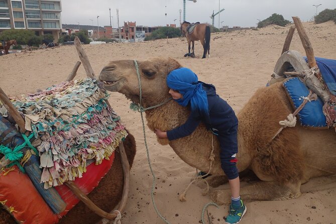 Essaouira: an Unforgettable 2 Hour Ride on a Camel - Booking Details and Confirmation Process