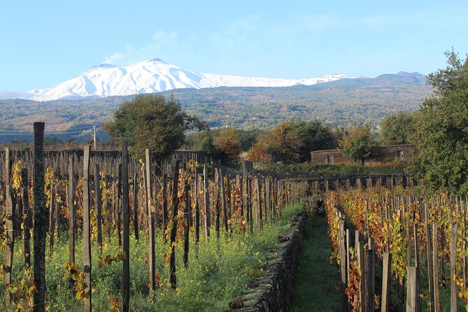 Etna Wineries Tour - Discover Local Wineries