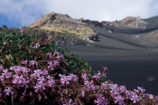 Etnas Hidden Gems - Trek Valle Bove & Lava Tunnel With Gear - Exploring Valle Del Bove