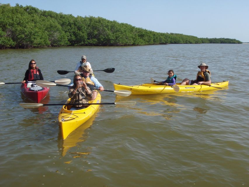 Everglades National Park: Boat Assisted Kayak Eco Tour - Group Size and Requirements