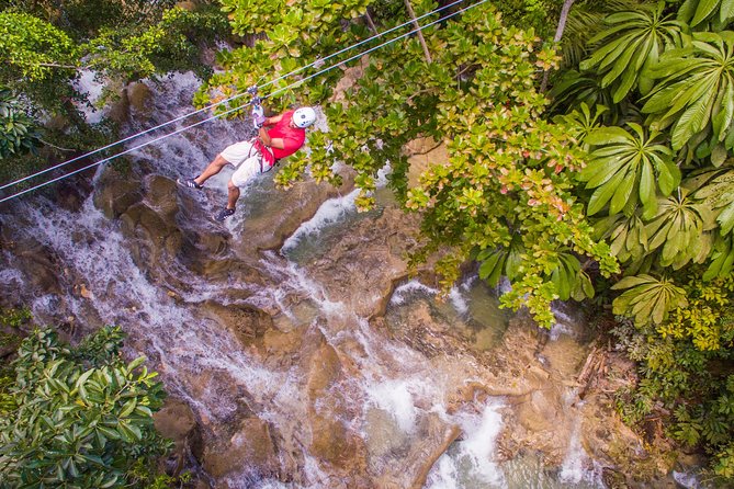 Falls Flyer Zipline and Dunns River Falls Adventure Tour From Ocho Rios - Ziplining Adventure