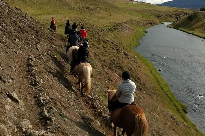 Family Friendly Horse Riding Tour in Skagafjörður - Booking Confirmation