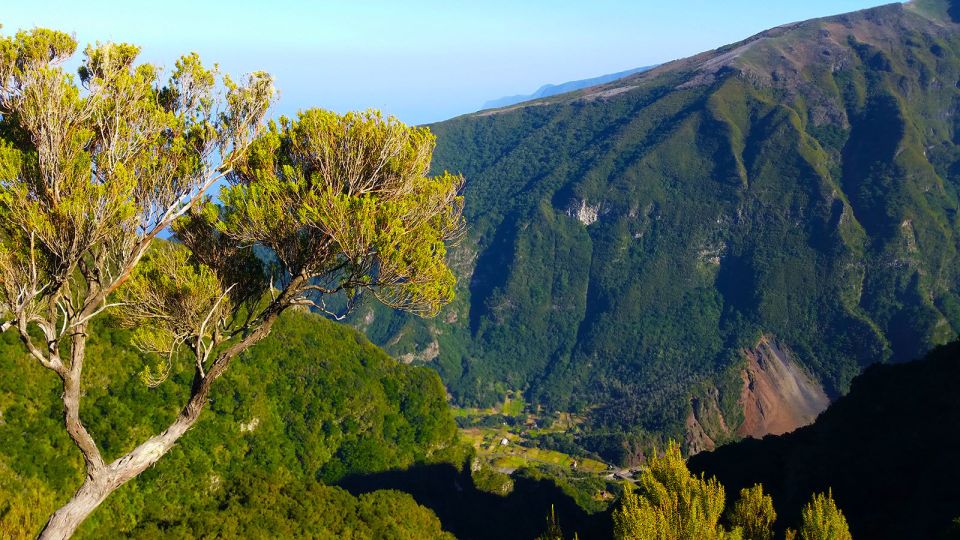 Fanal / Whistlers - Levada Walk - Booking Information