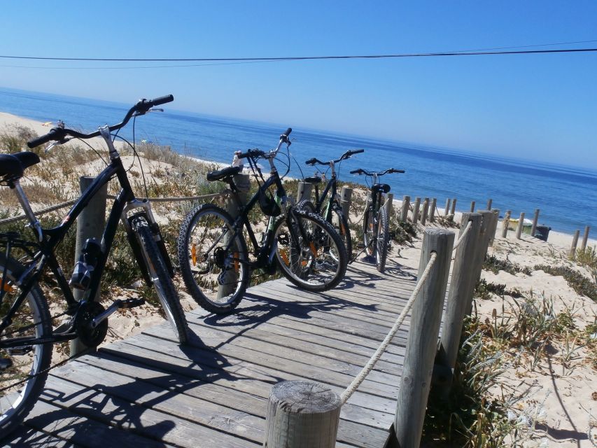 Faro Bike Tour Through the Beautiful Ria Formosa - Local Lifestyle and Ecology