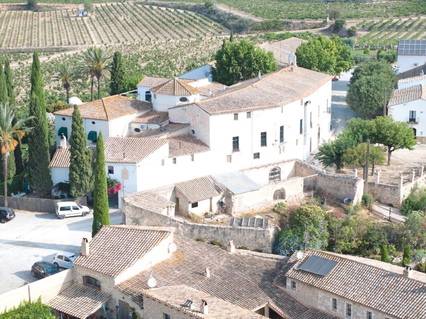 Finca Viladellops: Vineyard Safari in 4x4 Land Rover - Picturesque Vineyards