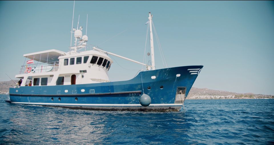 Fishing & Sea Tour - Booking and Cancellation