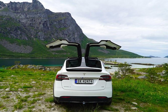 Fjord Sightseeing - Eco Friendly Tesla Model X - Pickup From Selected Hotels