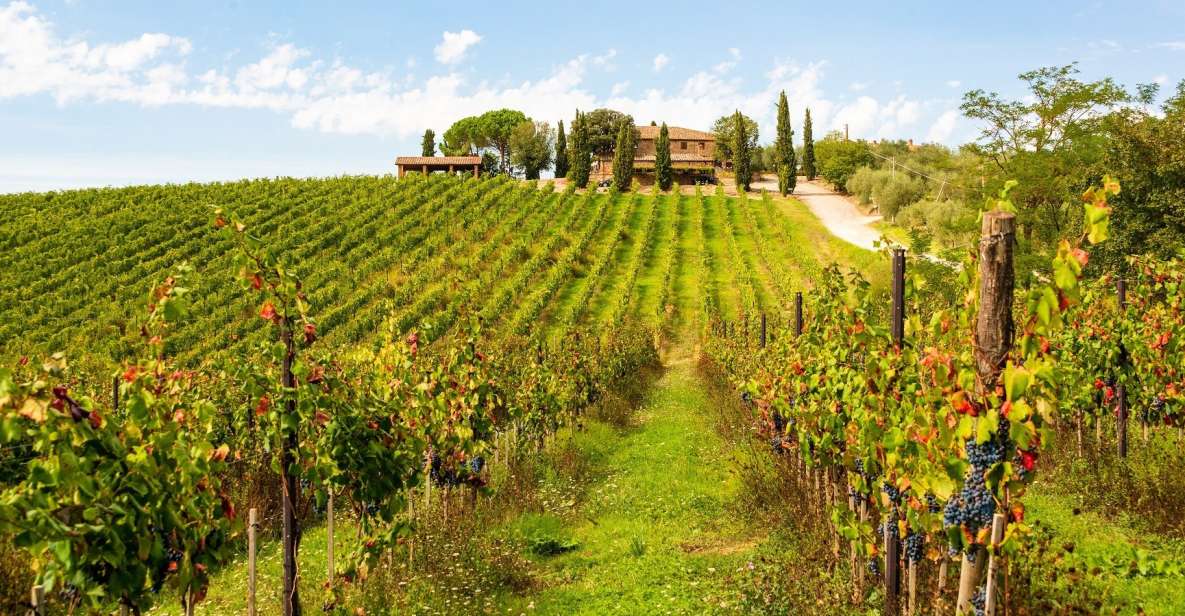 Florence: Private Full Day Tour to Chianti Wine Region - Customizable Experience