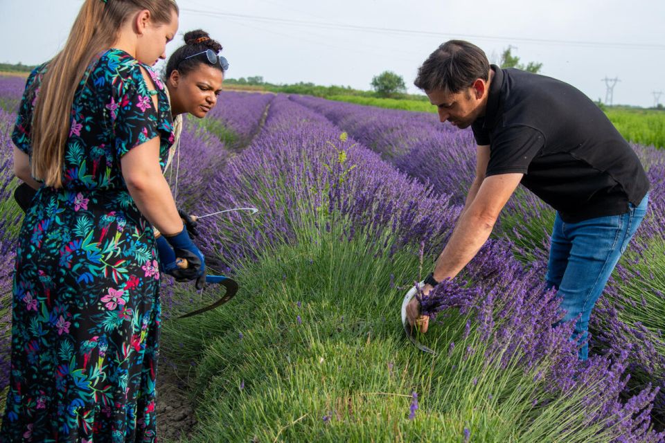 Flowers Picking and Essential Oil Distillation Workshop - Requirements