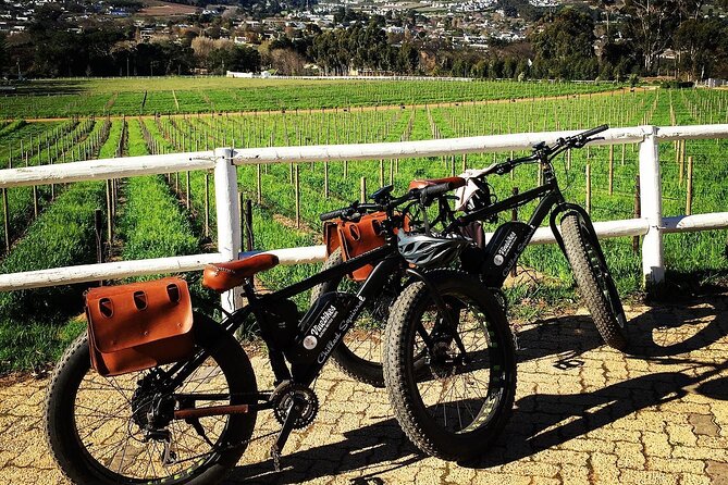 Franschhoek E-Bike Wine Tour (Half Day) - Exploring Franschhoek Valley