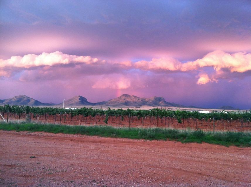 Friday: Tombstone & Bisbee; 9h Tour Bus From Tucson - Scenic Drive Through Sonoran Desert