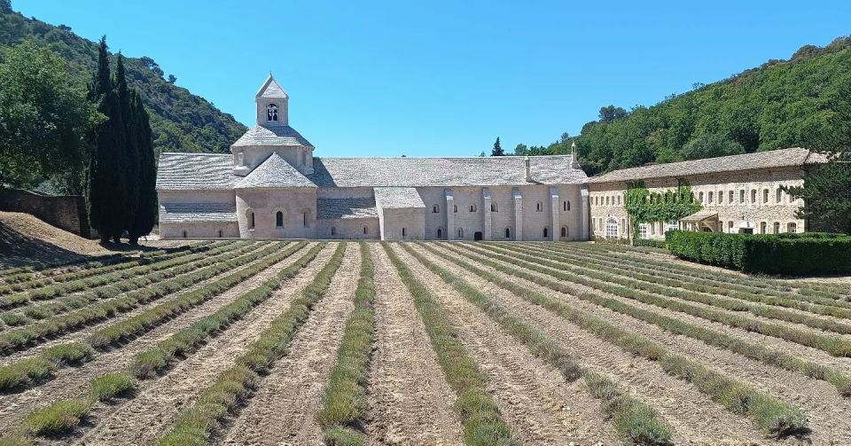 From Aix-en-Provence: Luberon Park Lavender Season Tour - Tour Inclusions