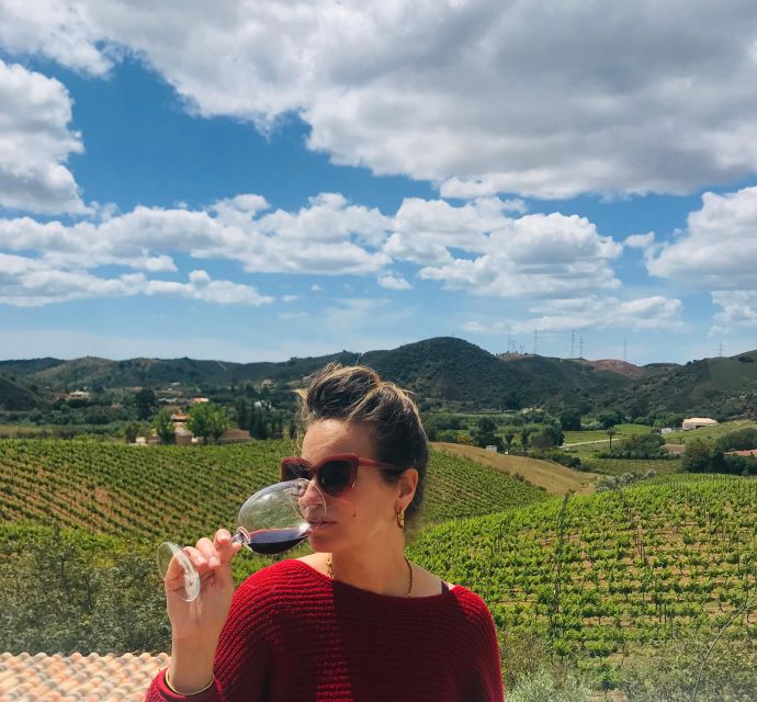 From Albufeira: Full-Day Wine Tasting Tour With a Guide - Silves Town Exploration