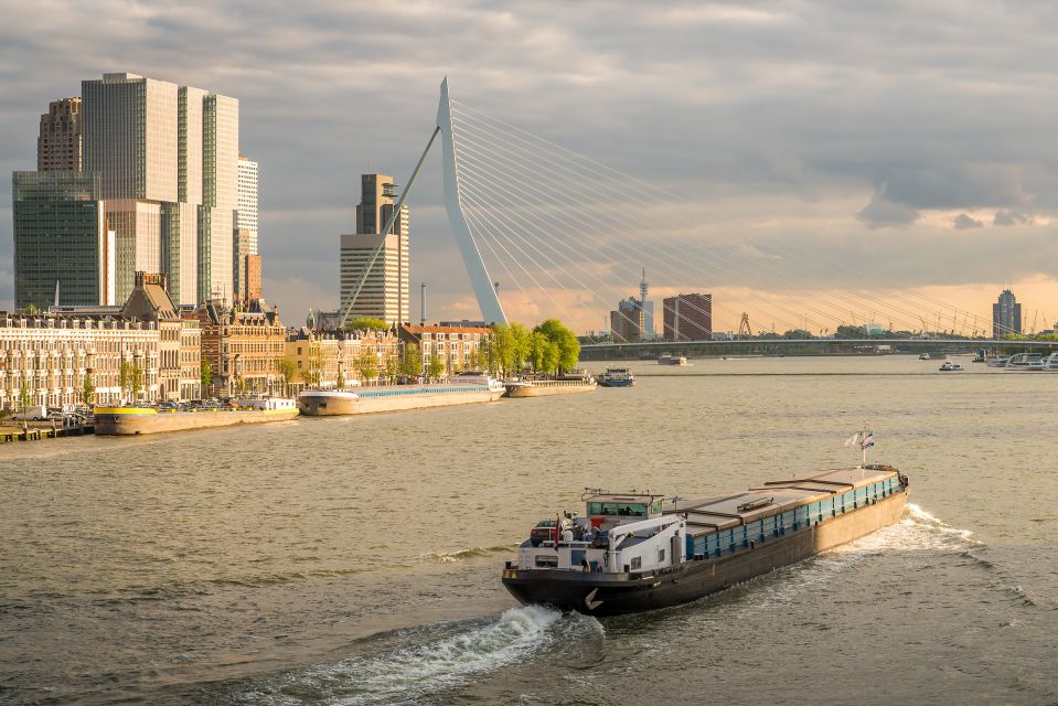 From Amsterdam: Rotterdam and The Hague Tour in Spanish - Transportation and Logistics