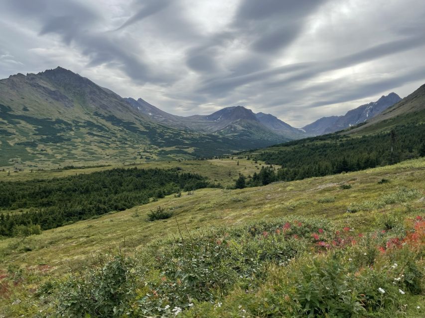 From Anchorage: Chugach State Park Walk With Naturalist - Wildlife Viewing Opportunities