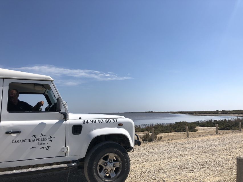 From Arles: Half-Day 4x4 Camargue Safari - Important Information for Participants