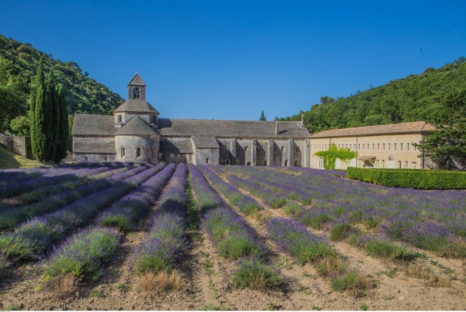 From Avignon: Full-Day Experience in Luberon With Lunch - Professional Driver-Guide Expertise