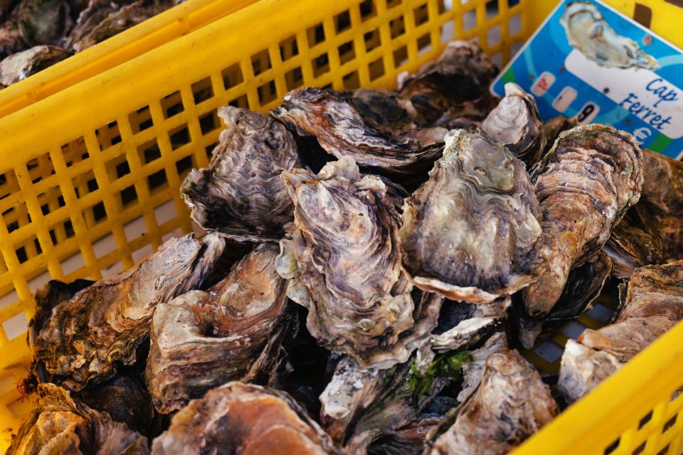 From Bordeaux: Arcachon Bay Full Day Tour and Oyster Lunch - Important Information