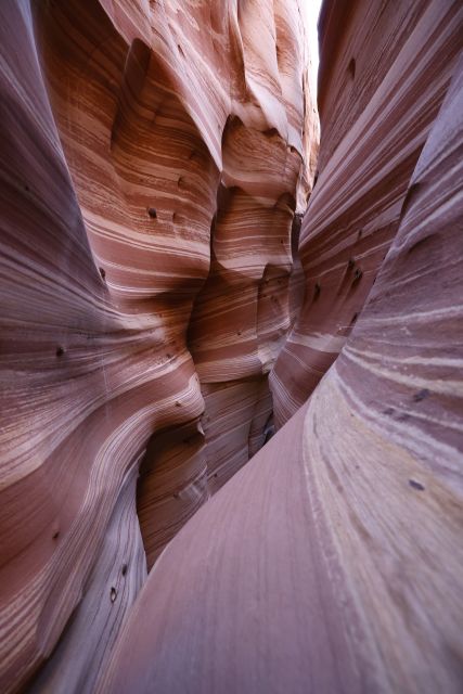 From Escalante: Zebra Slot Canyon Guided Tour and Hike - Additional Information