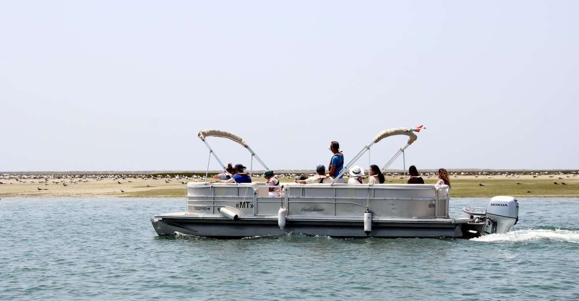 From Faro: 2-Hour Guided Bird Watching Boat Trip - Customer Ratings and Feedback