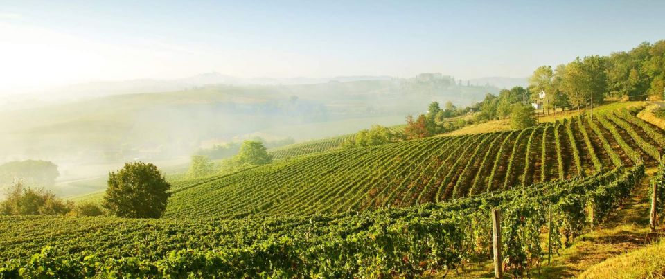 From Florence: Val D'orcia Wine Tour With Private Driver - Tour Duration and Inclusions