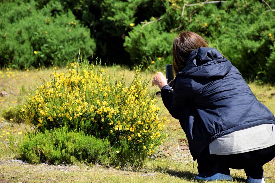 From Funchal: 2-Day Guided Tour of Madeira - Picturesque Villages