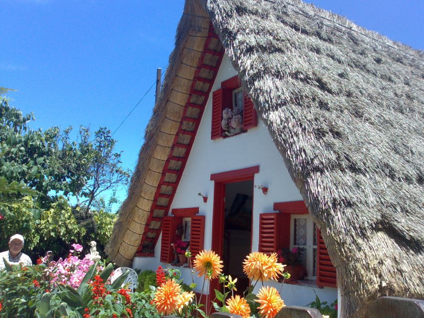 From Funchal: Laurel Forest A-framed Houses Tour - Laurisilva Forest Exploration