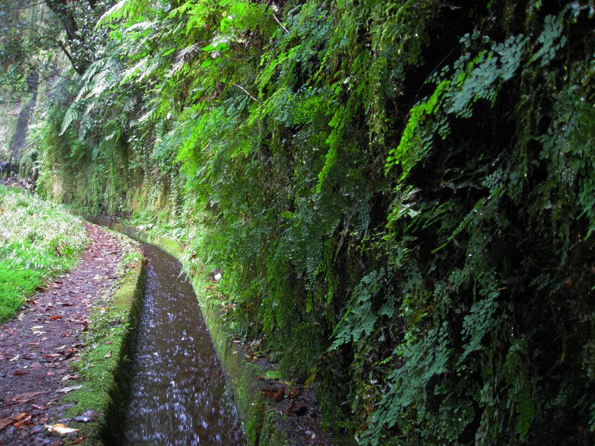 From Funchal: São Jorge Valleys Levada Walk - Herbal Discovery