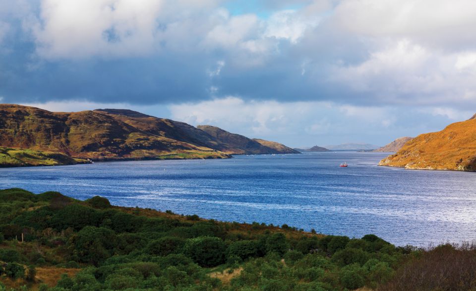 From Galway: Connemara National Park Full Day Tour - Important Considerations