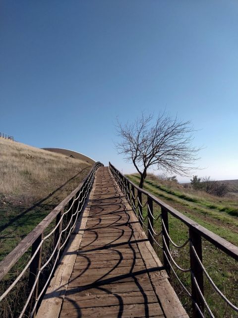 From Istanbul: Gobeklitepe Daily Tour - Cancellation Policy