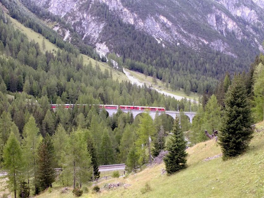 From Lake Como: Bernina Red Train Tour to St. Moritz - Important Travel Information