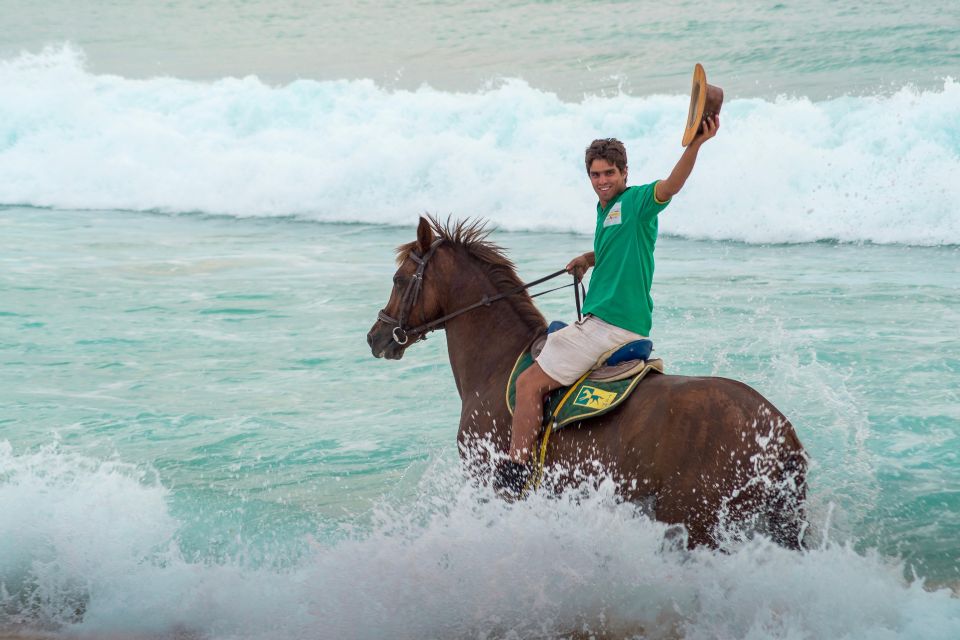 From Lisbon: Horseback Riding on Comporta Beach - Group Size and Access