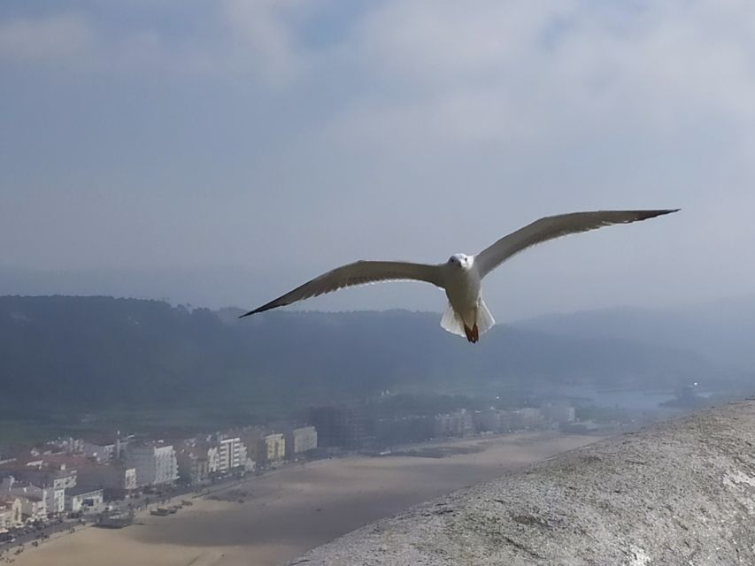 From Lisbon: Private Óbidos and Nazaré Tour - Flexibility