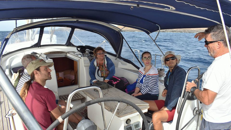 From Los Gigantes: Whale Watching Sailboat Cruise - Pricing and Booking