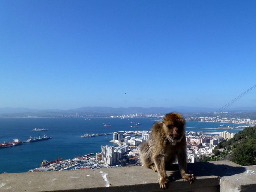 From Malaga: Private Gibraltar Highlights Day Trip - Included Tickets and Transfers