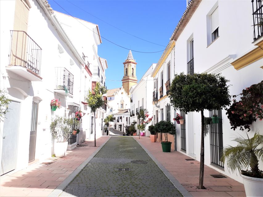 From Marbella: Guided Private Trip to Gibraltar and Estepona - Estepona Highlights