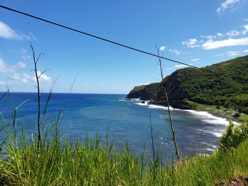 From Maui: Private Road to Hana Day Trip - Bamboo Forest Exploration