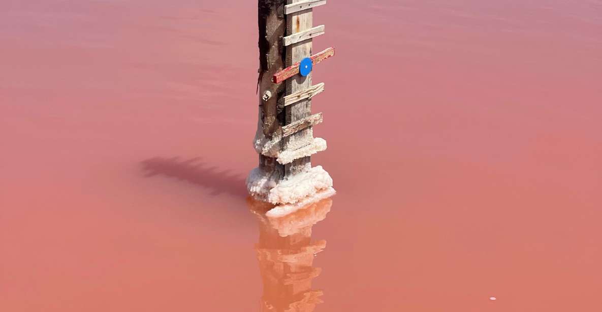 From Montpellier: Camargue and Salt Marshes Guided Tour - Scamandre Discovery Center