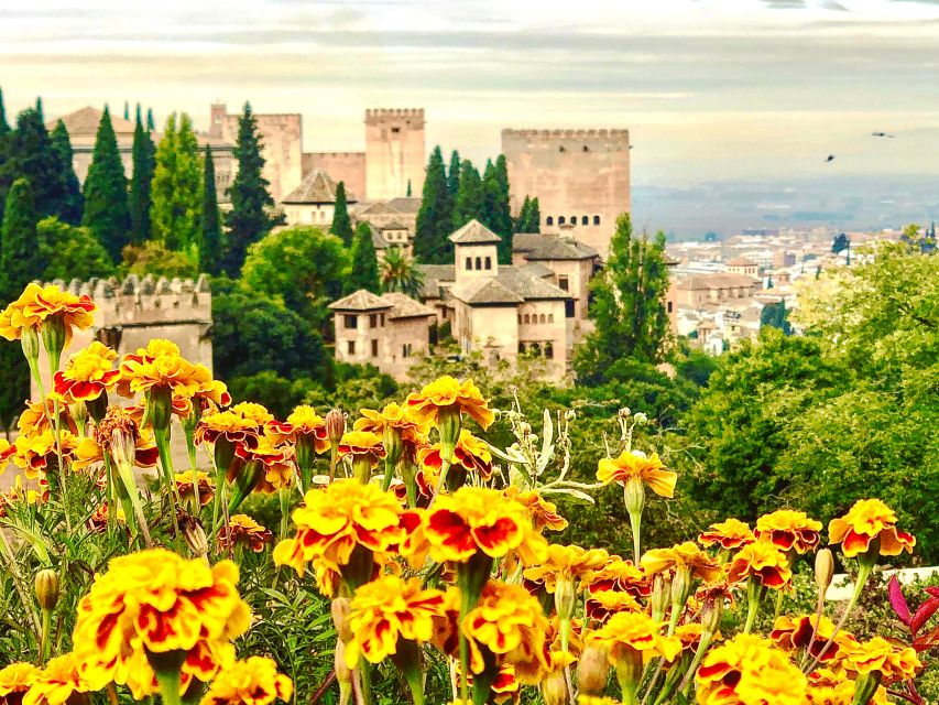 From Motril: Full-Day Private Tour of Alhambra - Accessibility Considerations