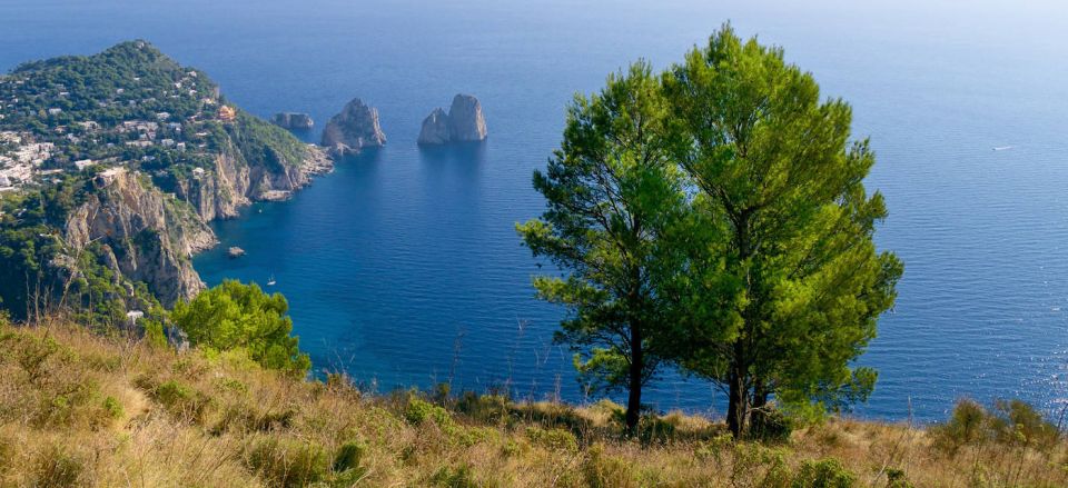 From Naples: Group Day Trip and Guided Tour of Capri - Admiring the Southern Italian Landscape