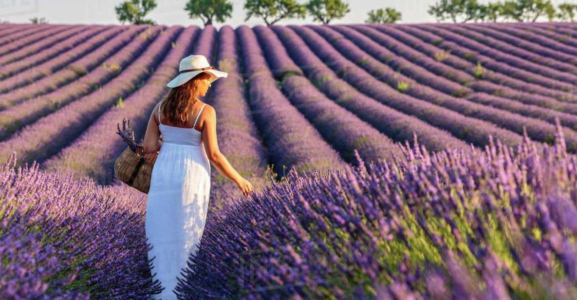 From Nice: Full-Day Provence and Lavender Tour - Moustiers-Sainte-Marie