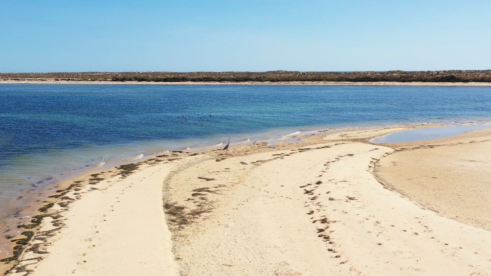 From Olhão: Ria Formosa 3-Island Full-Day Tour With Sunset - Armona Island or Desert Beach