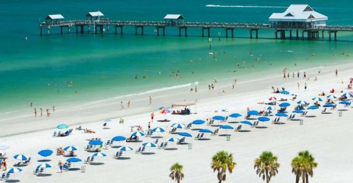 From Orlando: Clearwater Beach and Marine Aquarium Admission - Pickup and Departure