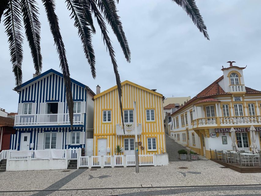 From Porto: Aveiro & Coimbra Small Group Tour + River Cruise - Key Details of the Tour